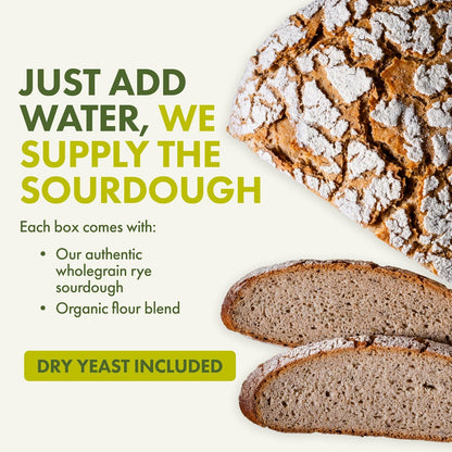 Let’s Bake Bread Organic Vienna Sourdough Rye Baking Mix - Artisan Loaf with Aromatic Spices - USDA Organic, Non-GMO, Real Sourdough, No Additives, Easy Home Baking - 17.64 oz (1 Pack)