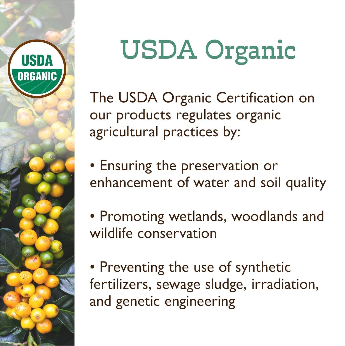 Fresh Roasted Coffee, Organic Montezuma Sunrise| USDA Organic, Kosher | Medium Roast 5 lb (80 oz) Ground