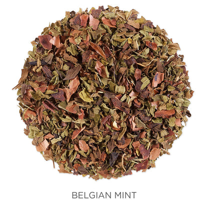 Tea Forte Belgian Mint Premium Organic Loose Leaf Caffeinated Herbal Tea Blend Canister, Makes 35-50 Cups