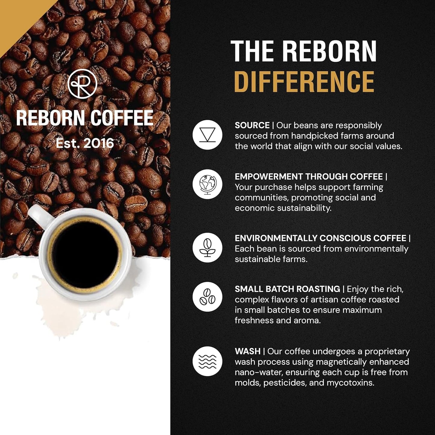 Reborn Coffee Specialty Whole Bean Coffee, Medium Roast, 12 Ounce, Premium Valencia Signature Blend, Flavor Notes of Chocolate, Nut, and Fruit