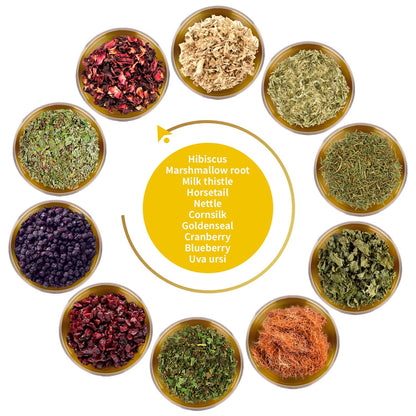 FunctionaliQi Flush Herbal Tea for Urinary Health - Marshmallow Root Milk Thistle Cornsilk and Goldenseal, Hibiscus Blend with Nettles, Cleansing Herbs and Cranberries (14 tea bags)