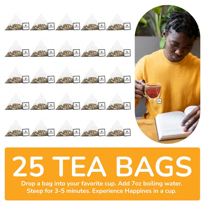 BREWIX, Royal Orange Spice Black Tea (25 Pyramid Tea Bags) | Premium Caffeinated Blend with Zesty Orange & Warming Spices | Warming Winter Blend Perfect for the Holidays | Iced Tea Bags | Sugar-Free