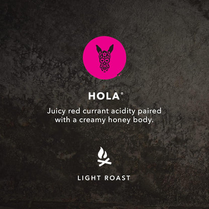 Kicking Horse Coffee Hola, Light Roast, Ground, 284 g (Pack of 6) - Certified Organic, Fairtrade, Kosher