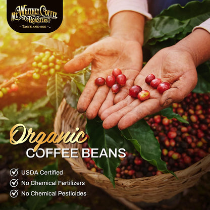 Mt. Whitney Guatemala Adiesto Cooperative Organic Low Acid Coffee (Ground, 5 lb)