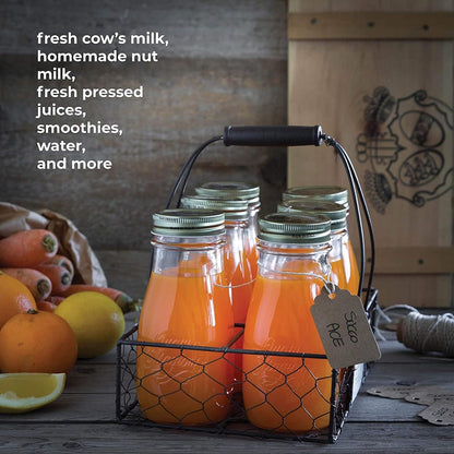 Bormioli Rocco Quattro Stagioni Bottles, Set of 6-13.5 Oz. Clear Glass with Twist Lids for Food Preserving, Beverage Serving, Homemade Gifts, Sauces & Infused Drinks - Airtight, Made in Italy