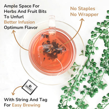 BREWIX, Sour Apple Hibiscus Tea Bags (25 Pyramid Tea Bags) Caffeine-Free Herbal Tea | Apple, Hibiscus, Rosehip | Refreshing Wellness Brew for Any Mood | Hot or Iced Refreshment