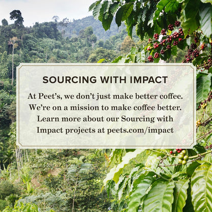 Peet's Coffee, Dark Roast Keurig K-Cup Pods - House Blend 60 Count (6 Boxes of 10 K-Cup Pods)