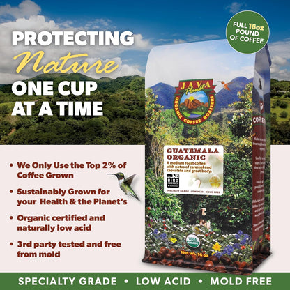 Low Acid Organic Coffee – Whole Bean, Mold-Free & Stomach Friendly by Java Planet, Guatemalan Single Origin Coffee, Medium Roast, Smooth Full Flavored, 2x1LB Bag