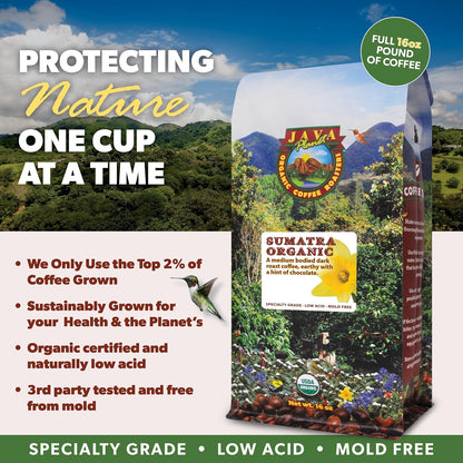 Low Acid Organic Coffee – Whole Bean, Mold-Free & Stomach Friendly by Java Planet, Sumatran Single Origin Coffee, Dark Roast, Smooth Full Flavored, 2x1LB Bag